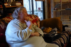 Christmas with family - 2014 - yes, that's a parrot in the background